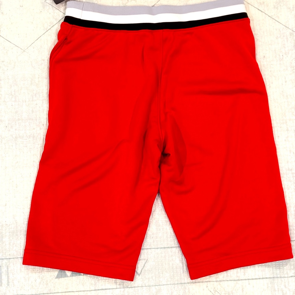 Nike Jordan Youth Boys L  (12-13) Red Black Casual Basketball Shorts
